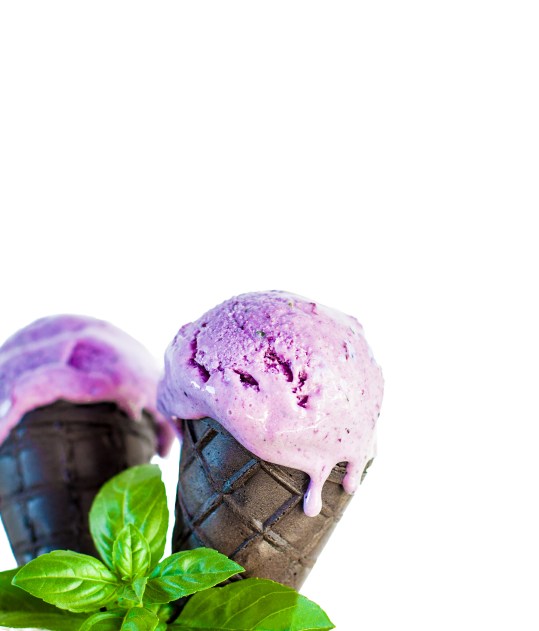 Borovnice in bazilika